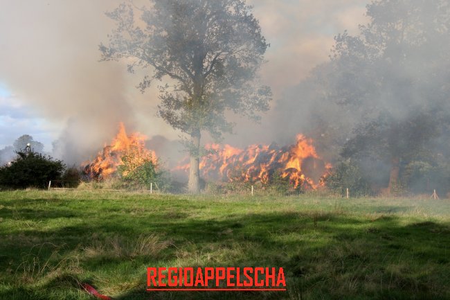 Regio Appelscha